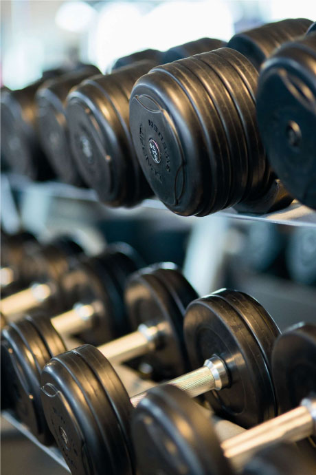 Workout dumbell set on dumbell rack at the gym