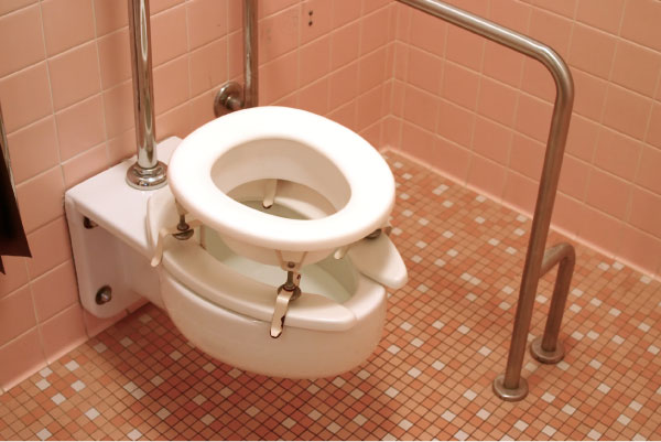 toilet riser for elderly bathroom safety with grab bars