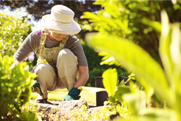 Senior-female-gardener-working-in-her-garden