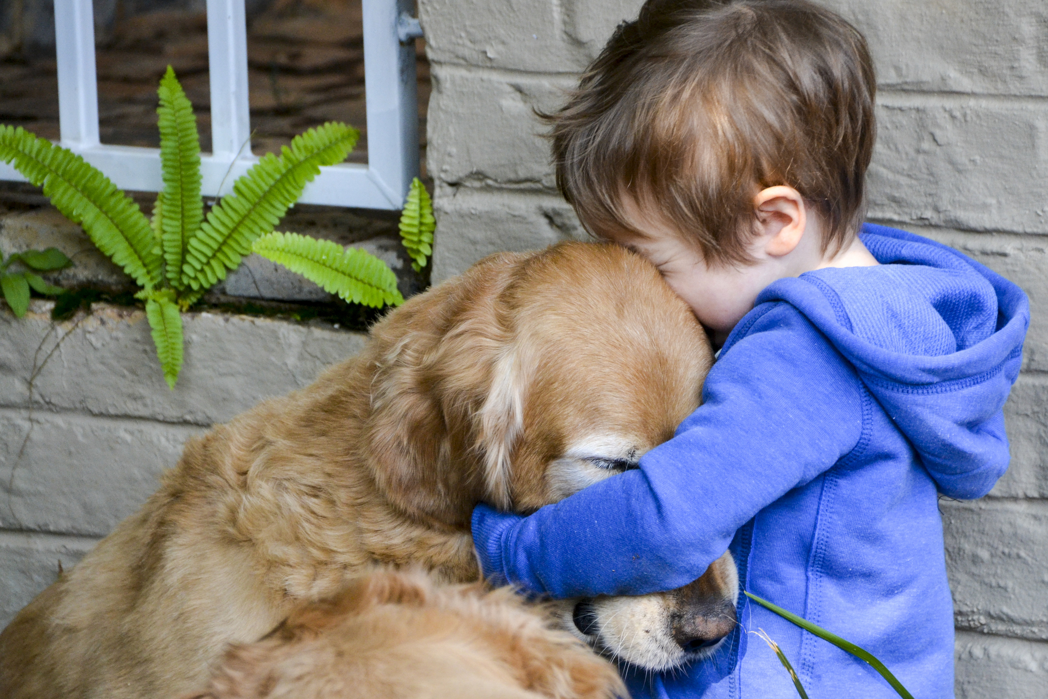 The Best Dog Breeds for Kids With Autism